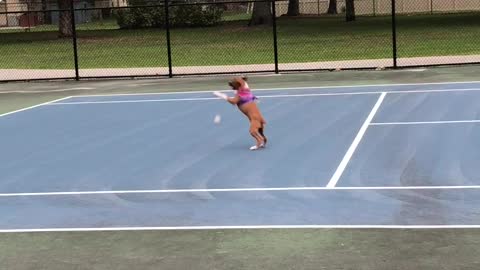 Boxer Puppy Bounces With Ball