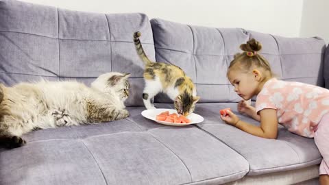 Adorable Baby Girl Teaches Cats to Eat Watermelon!