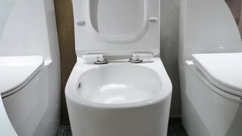 New model, one piece toilet, S-trap 300mm. Tornado flush .