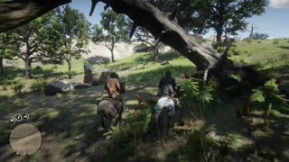 Red Dead Redemption 2 playthrough part 13