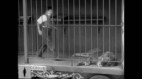 charli chaplini comedy The Lion cage full scene ( The circus, 1928 )