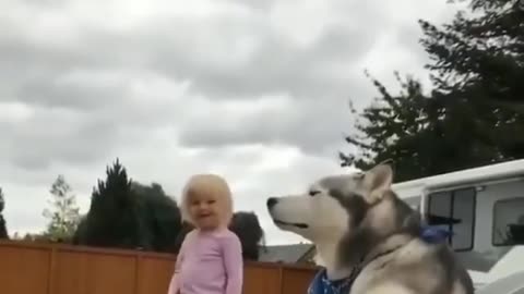 Husky Dog singing with little girl | Cute little girl with dog | Siberian Husky