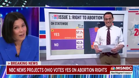 Ohio voters secure abortion rights in amendment to state constitution