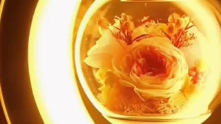 Magnetic Levitating Flower