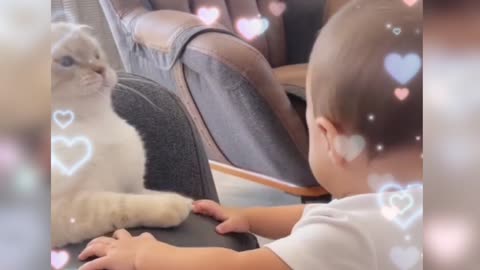 This young boy loves spending time with his cherished pet