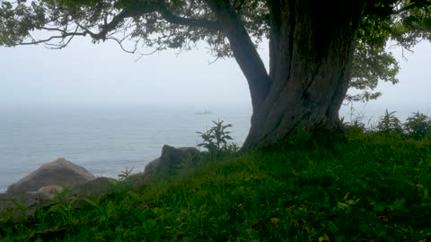 Atmospheres - Waterford Coast Harkness Park Fog Horn