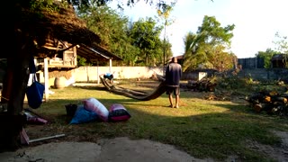 Rolling up the rice-sheet