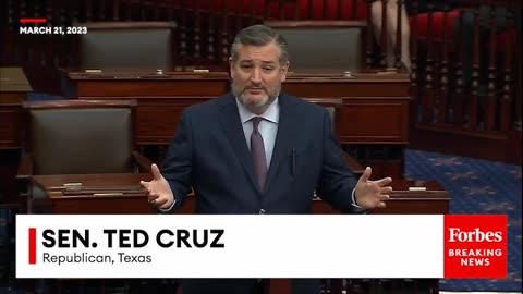 'Unable To Answer Basic Aviation Questions'- Ted Cruz Tears Into Biden's FAA Administrator Nominee