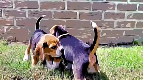 beagle puppies playing