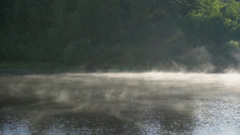 Beautiful Foggy Lake Footage