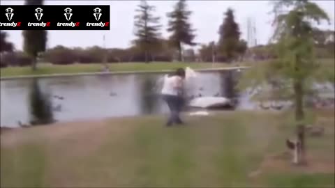 Funny scene of a white goose chasing a woman