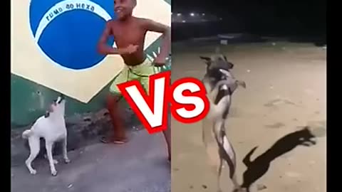Brazil dog dance vs Indian dog dance😁😁😁😁