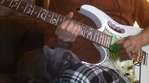Nighttime Couch Jam 10- Lydian, My Cat Joins the Jam (Spark Amp)
