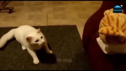 Funny Animal Videos 2023- Funniest Cats and Dogs