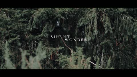 Silent Wonder _ Canon R5 Cinematic