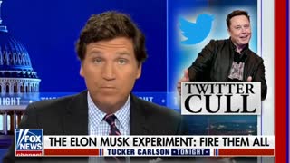 Tucker: Elon Musk Fired 80% of Twitter Staff and Now They Are Thriving