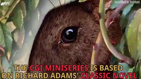 Emotionally Prepare Yourself for A Watership Down Remake