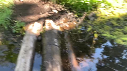 Oregon - Mount Hood - Muddy Log Crossing