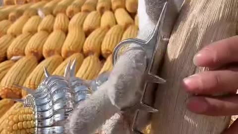 Manual Corn Thresher