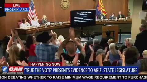 Arizona Representative Walter Blackman on HB228