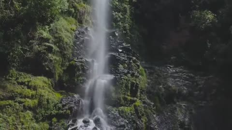 Waterfall cinematic video _ Waterfall video _ Video of beautiful scenery