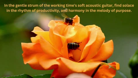 Productivity Serenade: Working Time's Soft Acoustic Guitar for Focus & Flow!