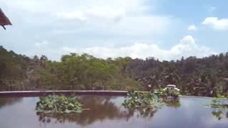 Beautiful View Of The Jungle In Bali, Indonesia 2006