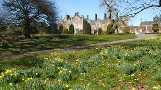 Parkanur Manor House and daffodils