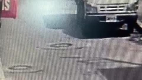 Camioneta atropello a perrita que murió horas mas tarde en Floridablanca
