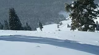 Snowboarding Vail Colorado