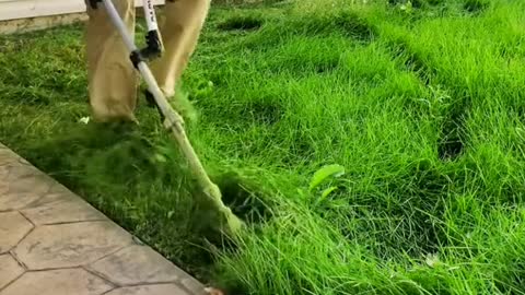 String trimming tall grass is satisfying