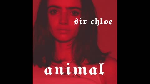 Sir Chloe - Animal