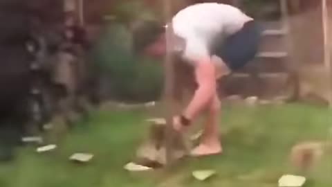 Guy tries to catch a rabbit! - Funny 😂🐇