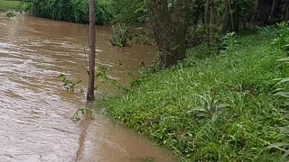 Rio forqueta cheio Rio Grande do Sul