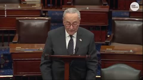 Chuck Schumer rips Trump for 'termination' of Constitution comments USA TODAY