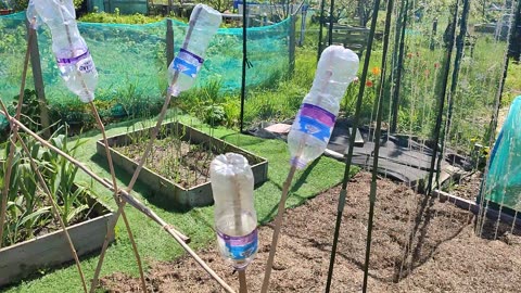 Allotment hack