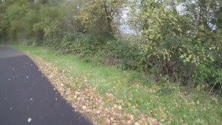 RIDING RAW ASHLAND TRAIL - Nov 5th 2014