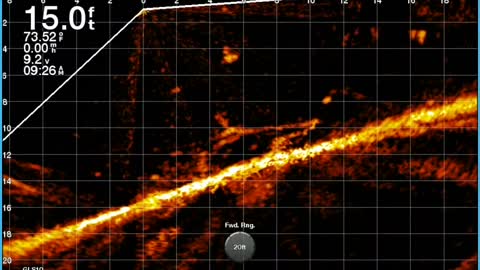 LiveScope Tips and Tricks