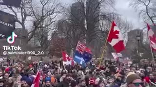 Toronto rally