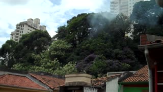 Fumaça e mau cheiro recorrente de terreno abandonado na Almirante Marques de Leão (Bela Vista)