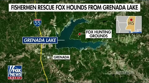 Fishermen rescue 38 hounds found treading water in Mississippi