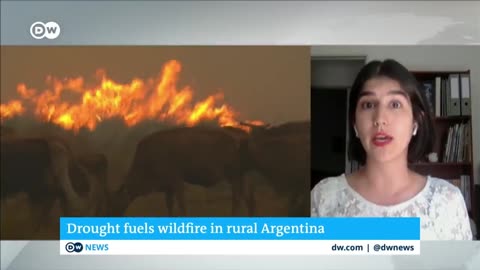 Firefighters in northern Argentina are struggling to contain massive wildfires | DW News