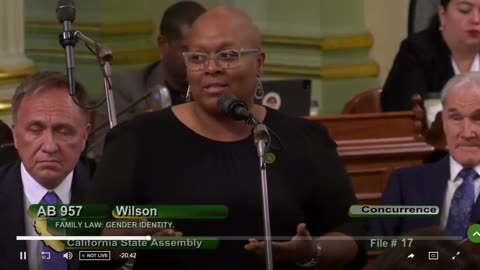 Democrat rep. Lori Wilson: “Our duty as parents is to affirm our children”