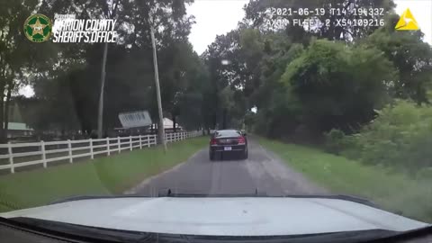 High Speed Chase Ends With Pit And Dog Bite(This One Hurts)