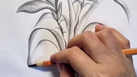 Amazing art||pencil drawing|drawing skills