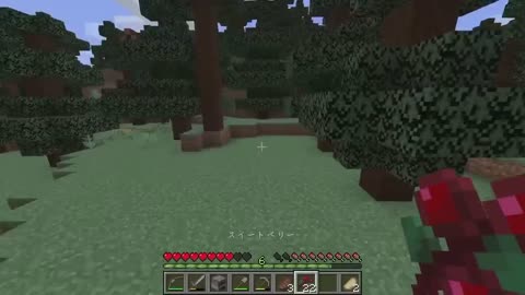 Speedrunner VS Hunter in Minecraft