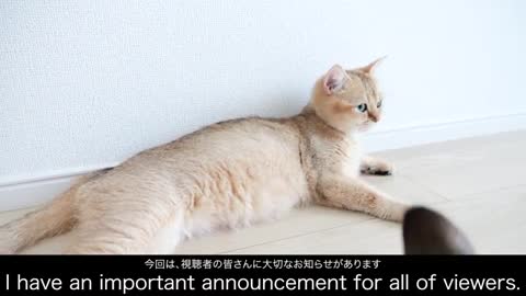 I have an important announcement