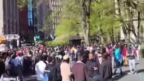 Illegals overrunning NYC