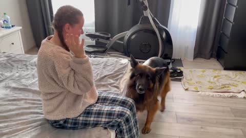 German Shepherd CerCea reacts to crying