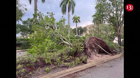 Tornado flips cars, uproots trees in Florida's Palm Beach